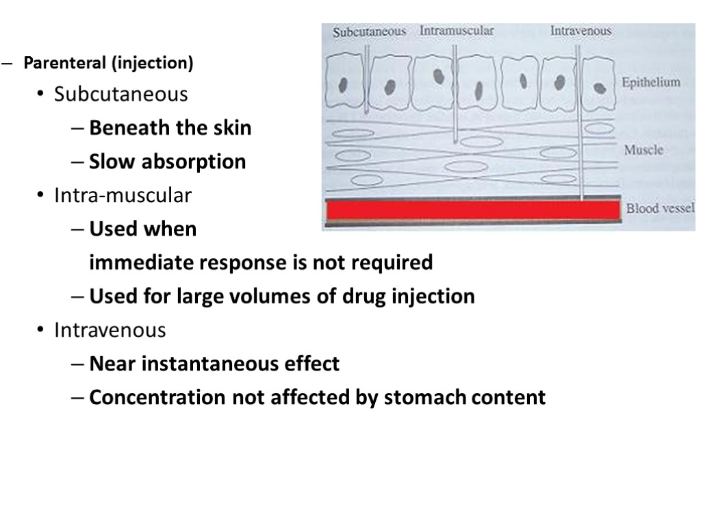 Parenteral (injection) Subcutaneous Beneath the skin Slow absorption Intra-muscular Used when immediate response is